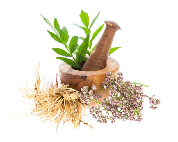 Valerian Extract Powder Valerian Extract Powder