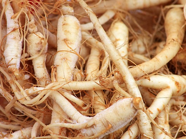 Organic Panax Ginseng Organic Panax Ginseng