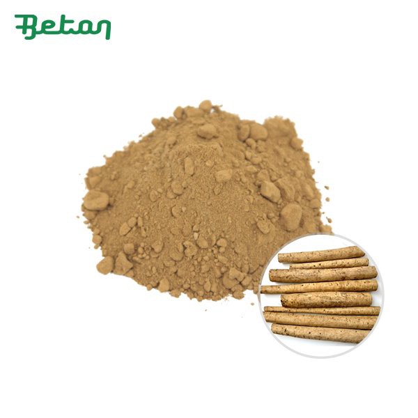 Bubuk Burdock Organik