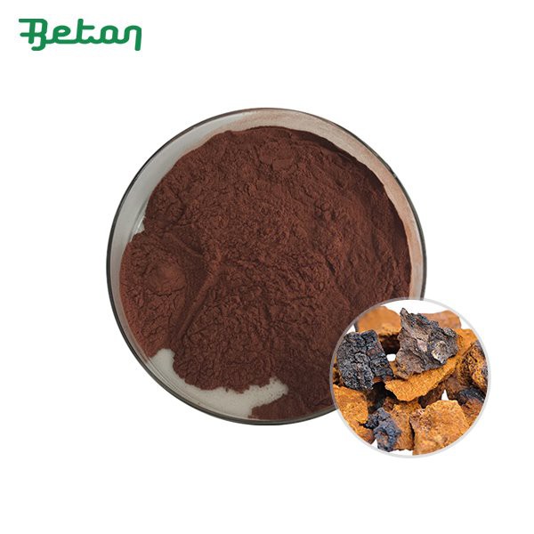 Organic Chaga Extract Powder