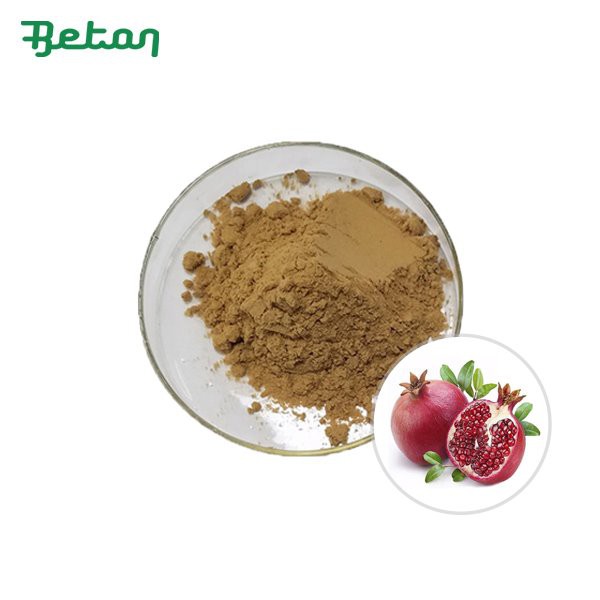 Organic Pomegranate Extract Powder