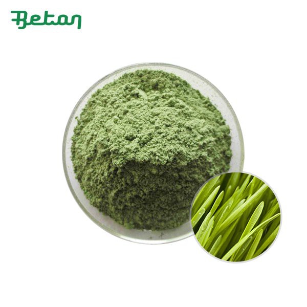 Raw Organic Wheat Grass Powder