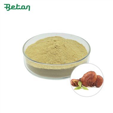 Bubuk Ganoderma Lucidum Organik