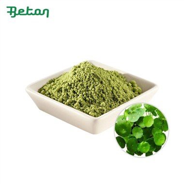 Bubuk Pegagan Organik