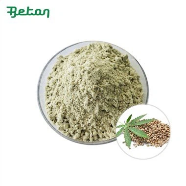 Bubuk Protein Biji Rami Organik