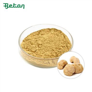 Ekstrak Hericium Erinaceus Organik