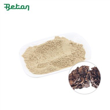 Bubuk Jamur Maitake Organik