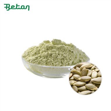 Bubuk Protein Labu Organik