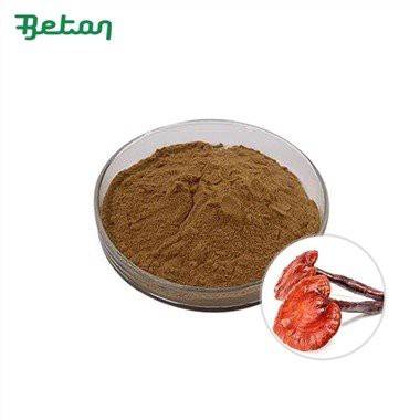 Bubuk Ekstrak Jamur Reishi Organik