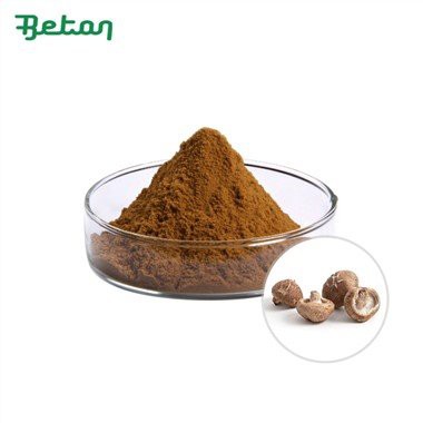 Bubuk Ekstrak Jamur Shiitake Organik