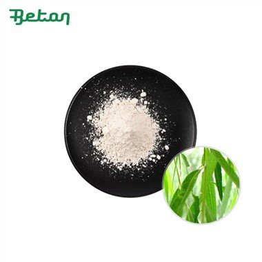 Bubuk ekstrak kulit willow putih