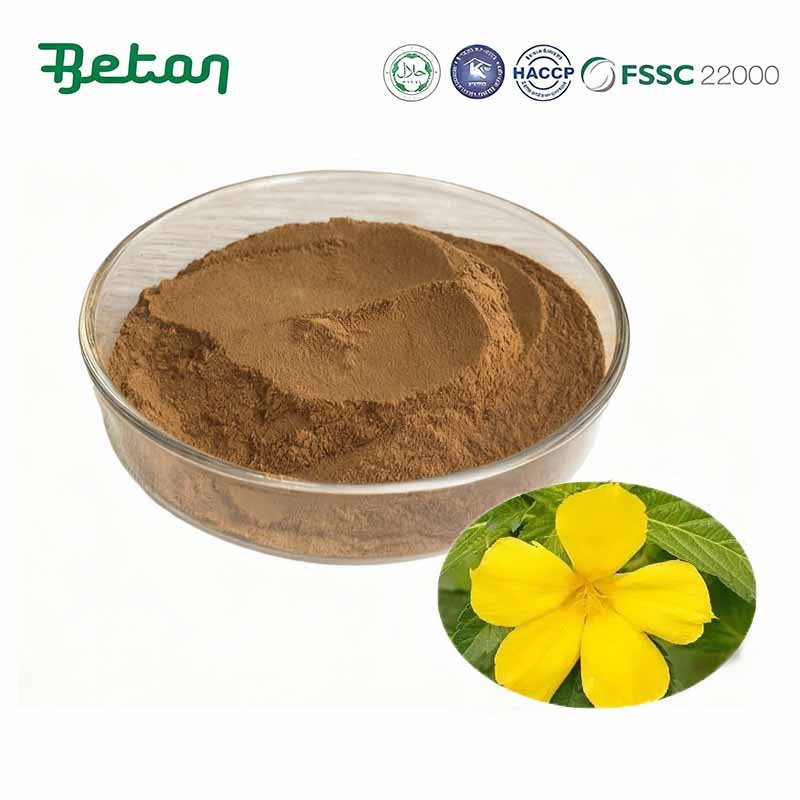 bubuk ekstrak damiana