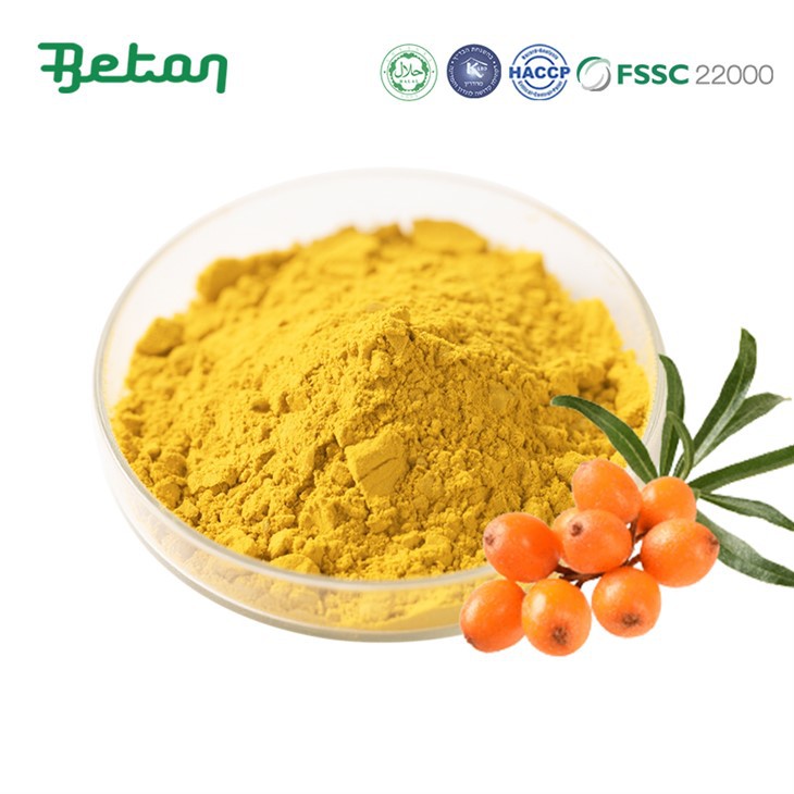 Bubuk Jus Seabuckthorn Organik