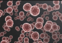 Anti-cancer properties Anti-cancer properties